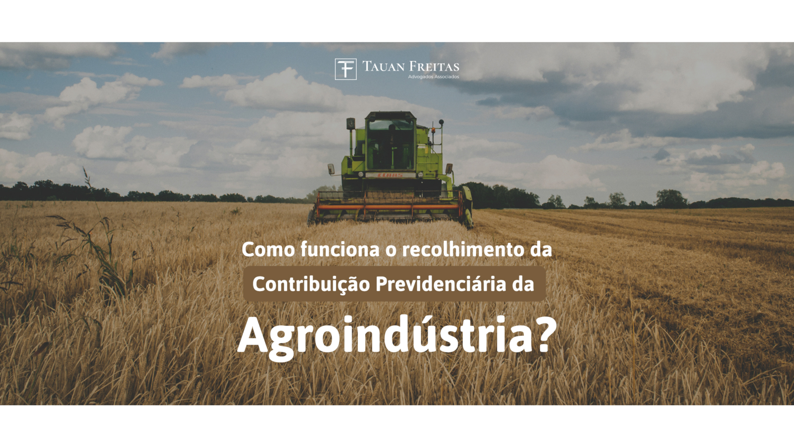 agroindustria-site