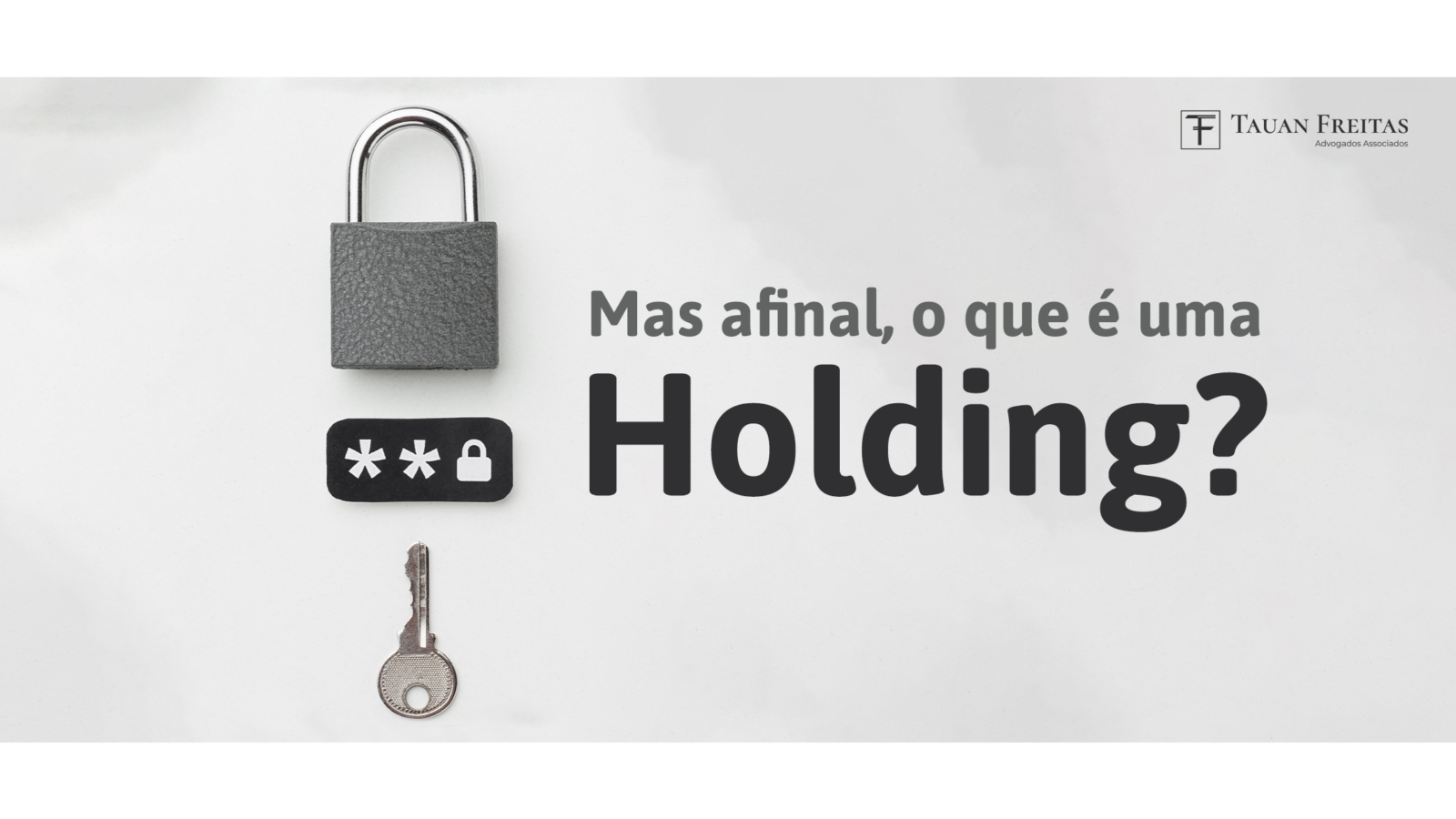 Mas afinal, o que é uma HOLDING? – Tauan Freitas Advogados Associados